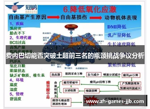费内巴切能否突破土超前三名的瓶颈挑战争议分析 费内巴切能否突破土超前三名的瓶颈挑战争议分析